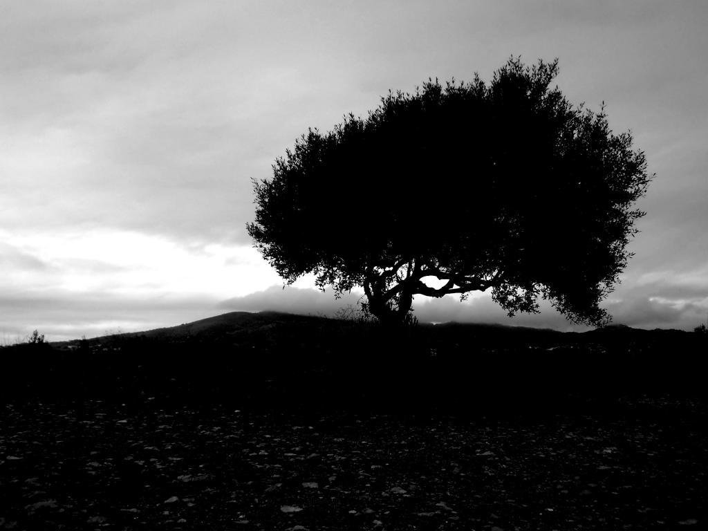 tumblr mckdreiqUm1r5ar2to1 1280