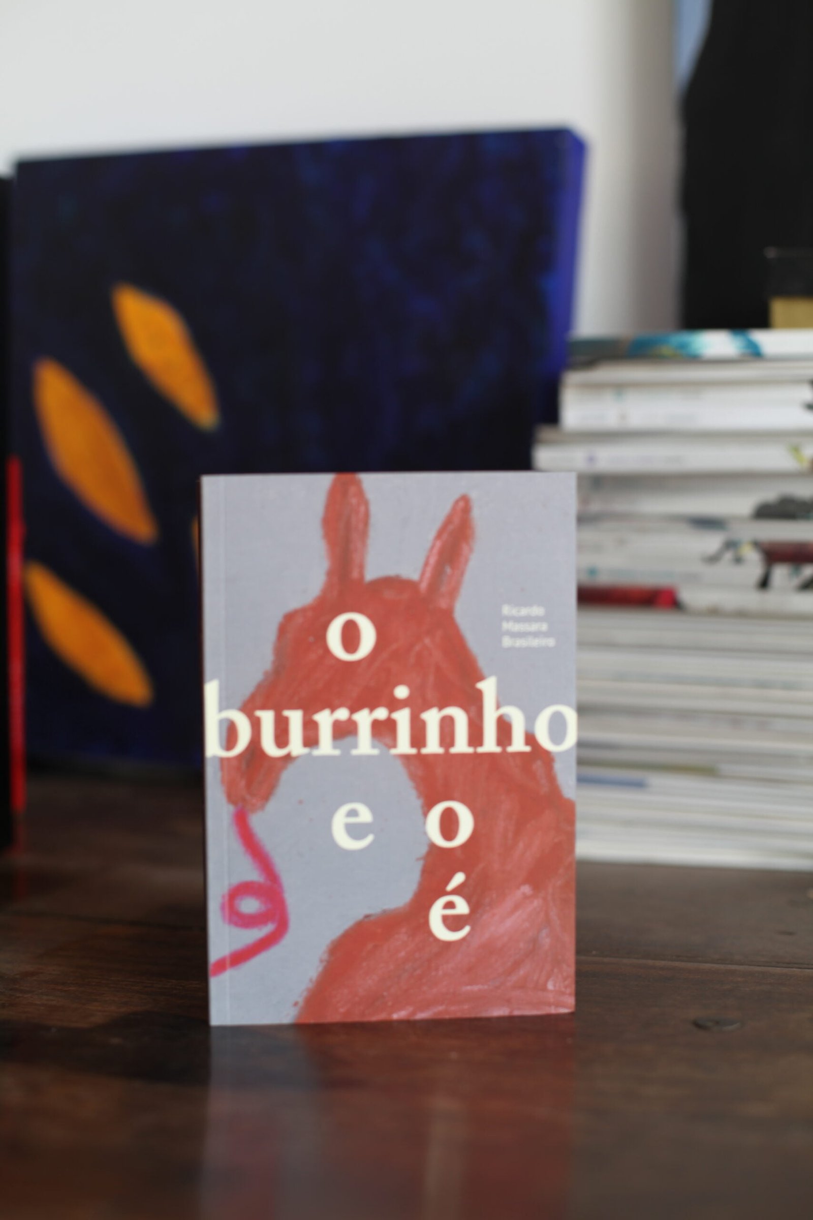 O burrinho e o é 3 O burrinho e o é