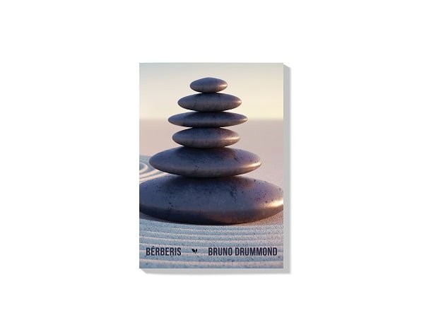 Bérberis - e-book 2 Bérberis