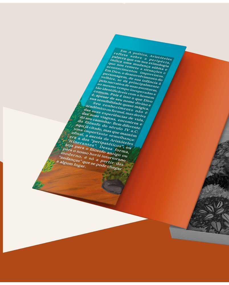 Divo 4 Divo - Imagem 4